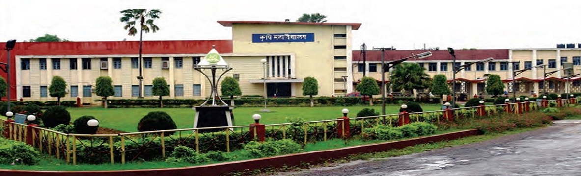 Ph.D. From Indira Gandhi Krishi Vishwavidyalaya : Introduction, Fee Structure, Admission Process, Documents, Syllabus, Research Methodology, University Highlights, Scholarship, FAQs