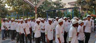 Alpha Degree College
