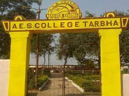 A.E.S. Degree College