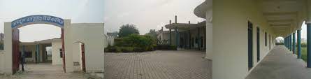 Abdul Razzaq Degree College