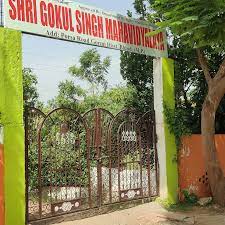 GOKUL SINGH SMARAK MAHAVIDYALAYA