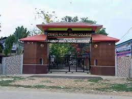 Hojai College