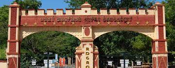 Raja Doraisingam Government Arts College