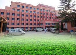 Modern Global Nursing Institute