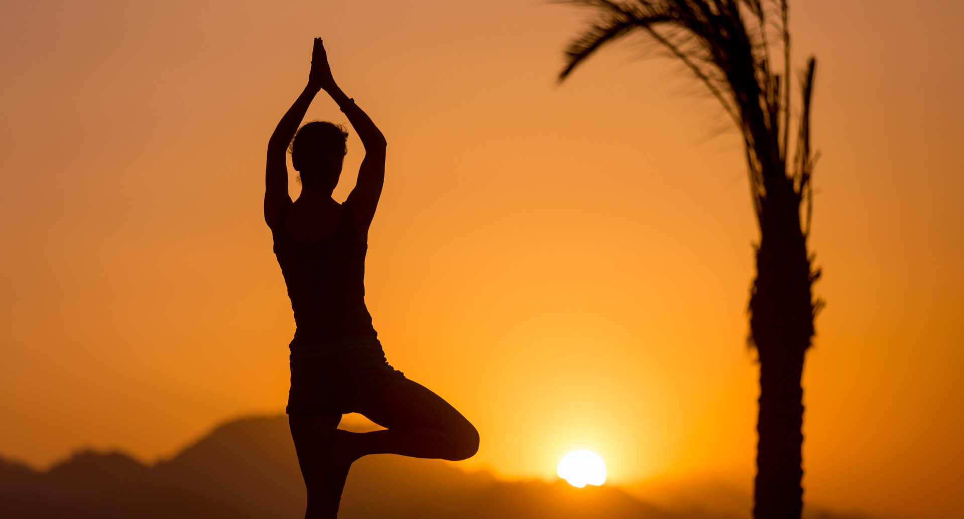 Ma. yogic Science Admission, Registration, Eligibility, Duration, Fees, Syllabus 2024