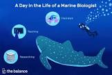 PH.D In Institute Of Marine Biology  Introduction Admission Registration, Eligibility, Duration, Fees, Syllabus 2024