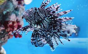 PH.D IN MANUFACTURING AND ENTERPRISE ENGINEERING Admission Registration, Eligibility, Duration, Fees, Syllabus 2024