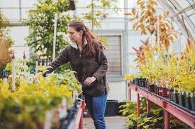 Ph.D In Horticultural, Introduction, Admission Registration, Eligibility, Duration, Fees, Syllabus 2024