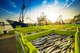 Ph.D. in Fisheries and Industrial Fishing Introduction Admission Registration, Eligibility, Duration, Fees, Syllabus 2024
