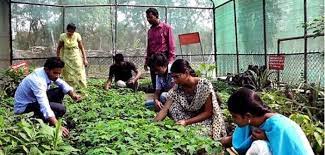 Diploma In Vocational Instructor (Crop Production) Introduction, Admission, Registration, Eligibility, Duration, Fees, Syllabus 2024