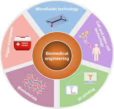 Ph.D. in Graduate Institute of Biomedical Materials and Tissue Engineering Introduction Admission Registration, Eligibility, Duration, Fees, Syllabus 2024