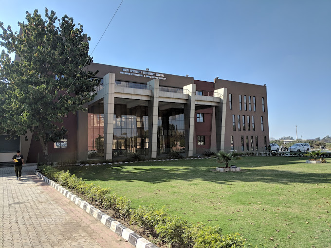 Guru Angad Dev Veterinary and Animal Sciences University - GADVASU, Ludhiana, Punjab: About Us, Courses, Eligibility, Fees, Admission, Ranking, Syllabus, Placement 2024