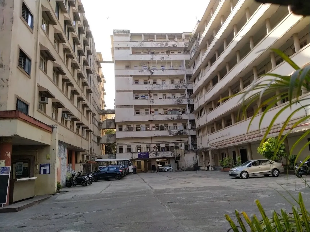 Shreemati Nathibai Damodar Thackersey Women's University - SNDTWU, Mumbai, Maharashtra: About Us, Courses, Eligibility, Fees, Admission, Ranking, Syllabus, Placement 2024