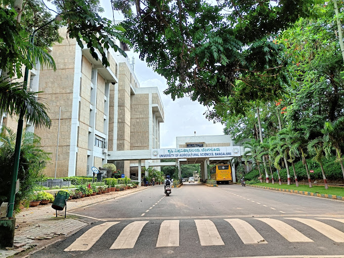 University of Agricultural Sciences - UAS, Bangalore, Karnataka: About Us, Courses, Eligibility, Fees, Admission, Ranking, Syllabus, Placement 2024
