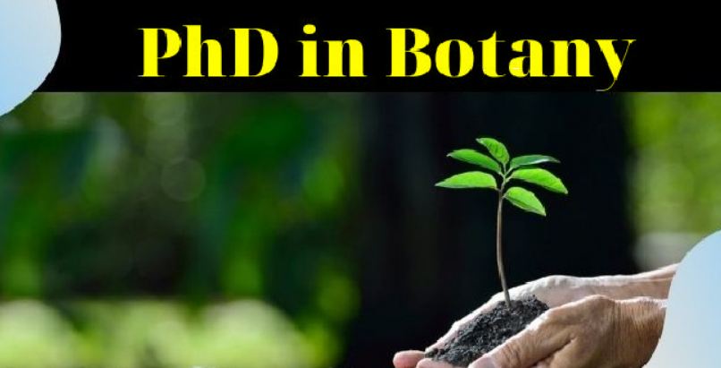 Hyderabad (SIND) National Collegiate University - HNCU, Maharashtra, Mumbai City: Introduction, Admission, Registration, Eligibility, Duration, Fees, Syllabus 2024