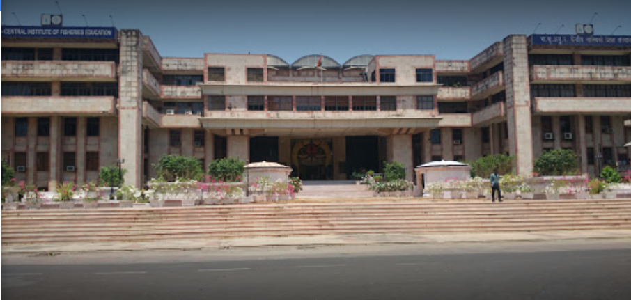 Central Institute of Fisheries Education: Introduction, Vision & Mission, Skill Development, Highlights, Placements, FAQs